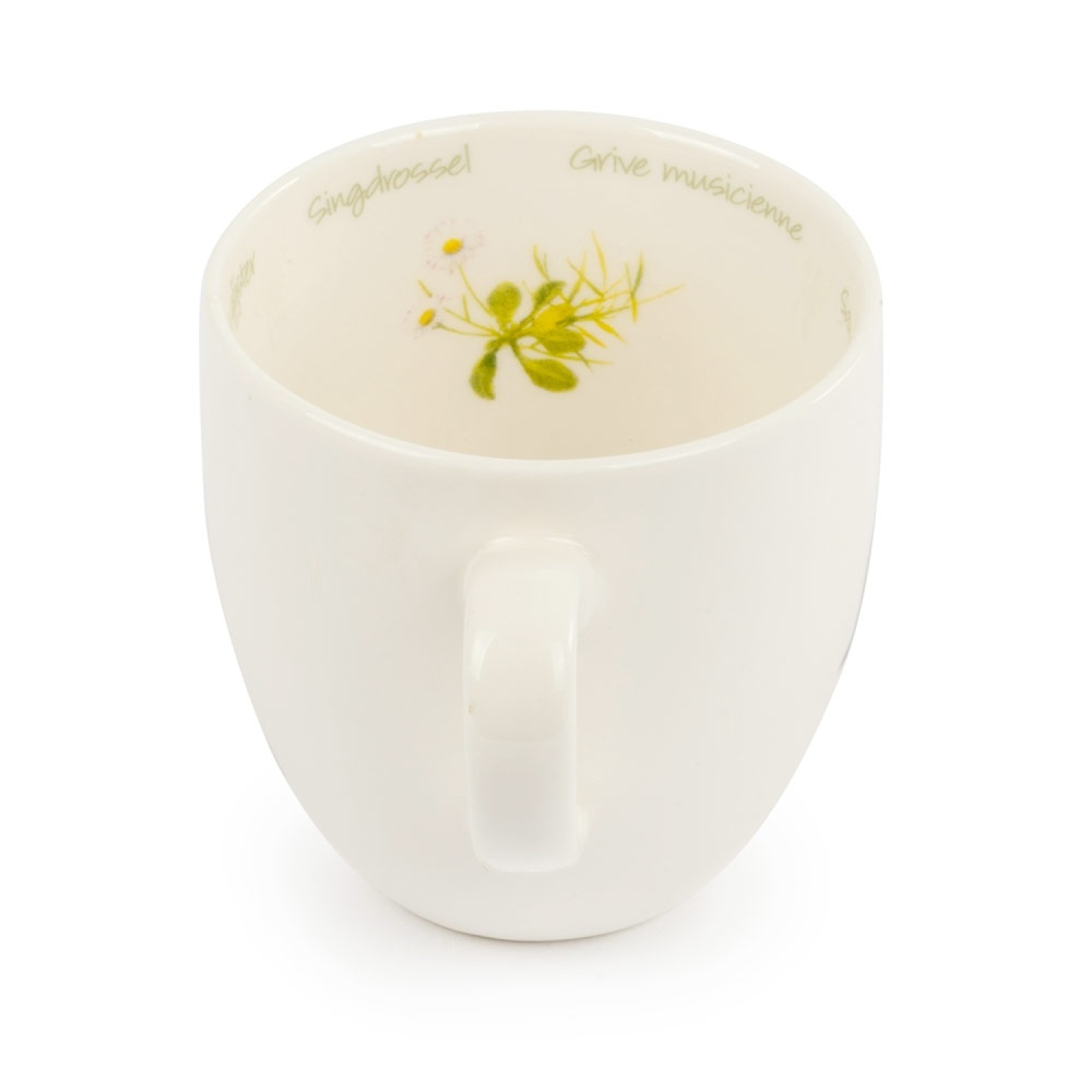 Tasse Singdrossel